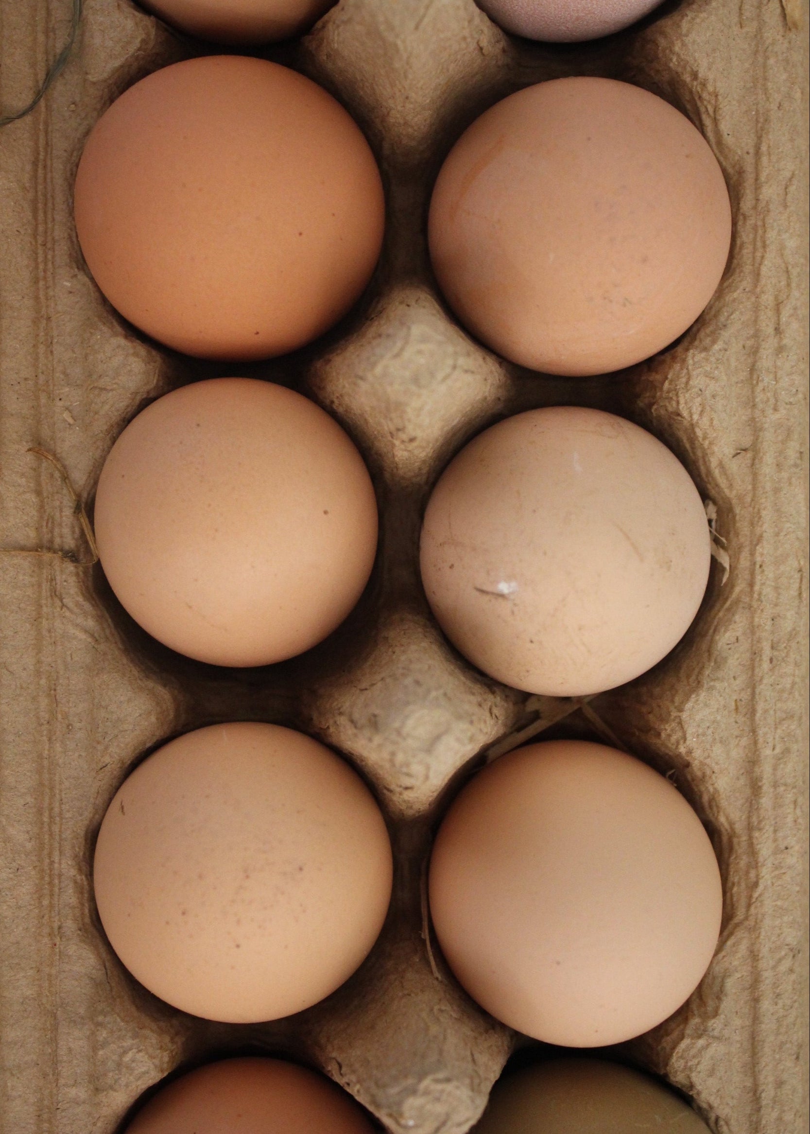 Eggs - 1 Dozen